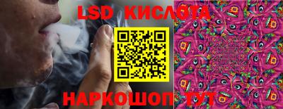 2c-b Камышлов