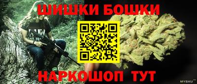 2c-b Камышлов