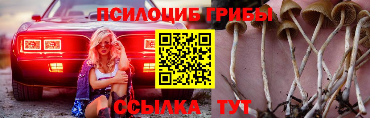 Галлюциногенные грибы ЛСД  Вход с VPN  Чусовой 